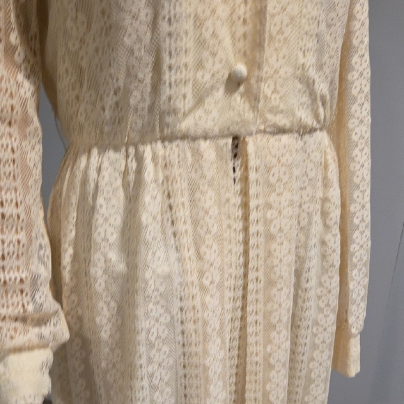 Vintage Cream Long Sleeve Lace Dress - Picture 8 of 12